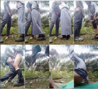 Abg SMA Viral 2025 The Warmth Of Love Indo Viral Video Abg Seragam Bolos Sekolah Demi Merasakan Tarikan Nafas di Kebun Sawit Top Global Wikwik Hijab Inara